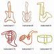 musical instrument shaped paper clips, music decorative paper clips